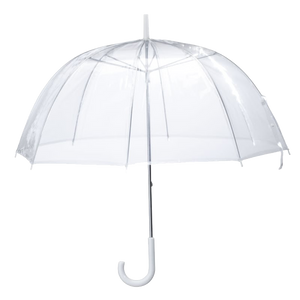 Silver Lining Clear Dome Umbrella